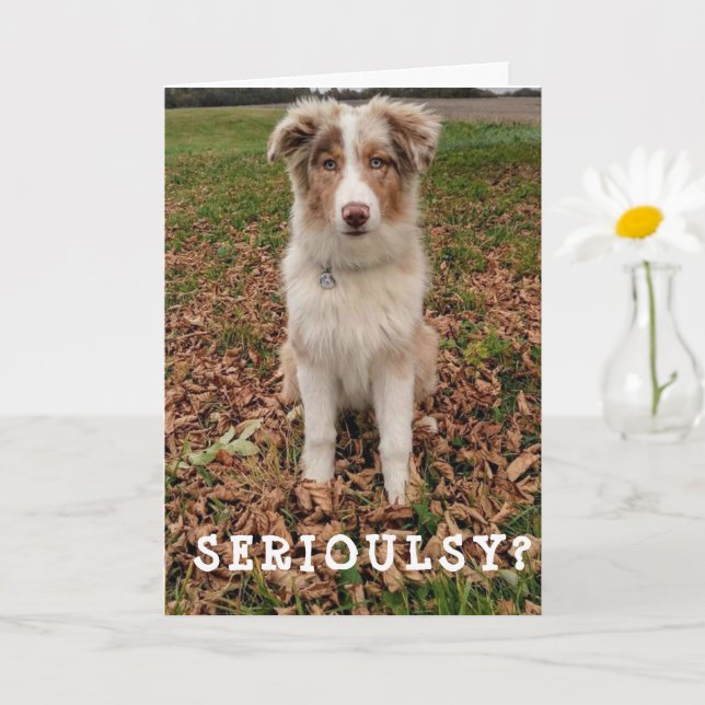 CARTÃO FELIZ *ANIVERSÁRIO DE ABRIL* DE UM AUSSO MUITO INT (Planta pequena)