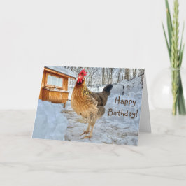 Cartão Feliz Aniversário de Frango Digno
