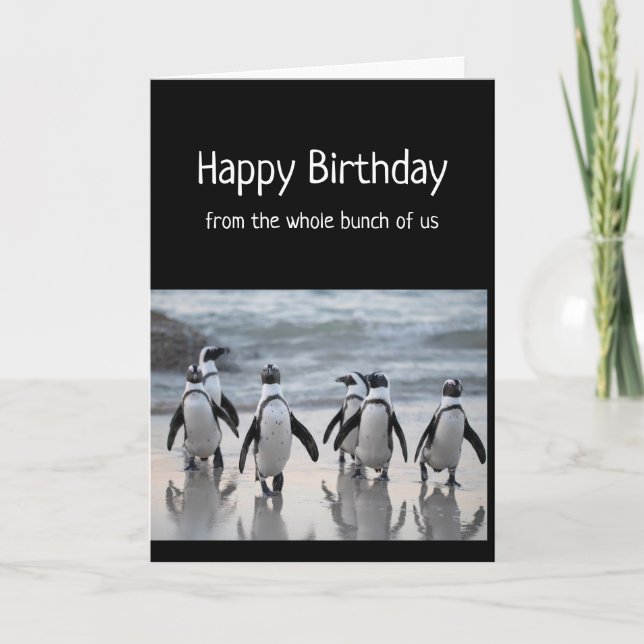 Cartão Feliz Aniversário De Pinguins Inteiros Do Grupo (Frente)