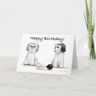 Cartão Feliz aniversário de Shitzu