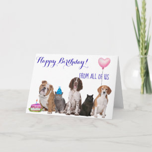 Cartão Feliz Aniversário de Todos Nós Cachorro Gato