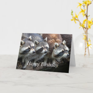 Cartão Feliz Aniversário de todos nós Mapaches