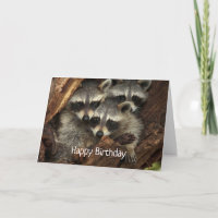 Feliz Aniversário de todos nós Mapaches Divertidos