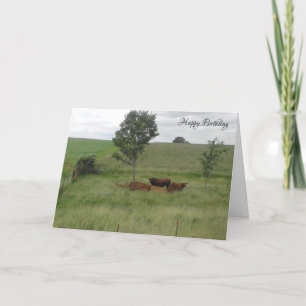 Cartão Feliz Aniversário Dia Pacífico Vacas no Campo Cart
