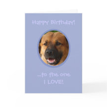 Feliz Aniversário Do Cachorro Ao Proprietário Com