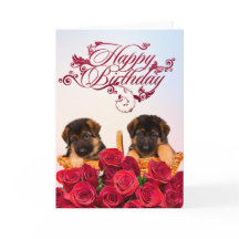 Feliz aniversário do Cachorro German shepherd