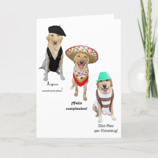 Cartão Feliz Aniversário do Cão Engraçado em Quatro Língu