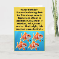 Feliz aniversário do Funny Pun D Koi