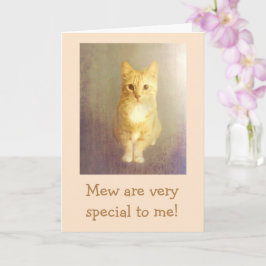 Cartão Feliz Aniversário Do Gato