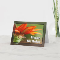Feliz aniversario do Gazania