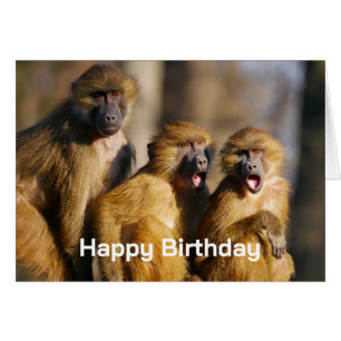 Cartão Feliz Aniversário do Grupo Como Macacos