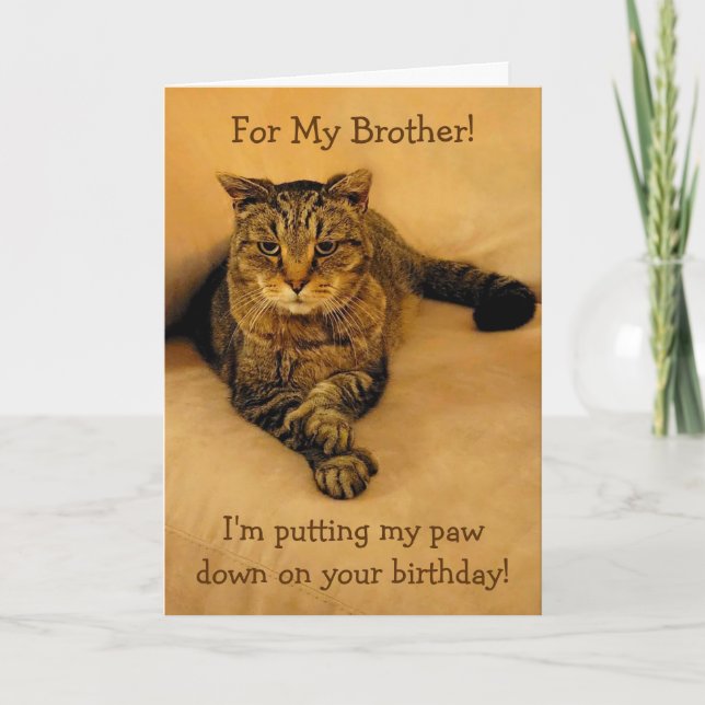 Cartão Feliz Aniversário do Irmão Gato (Frente)