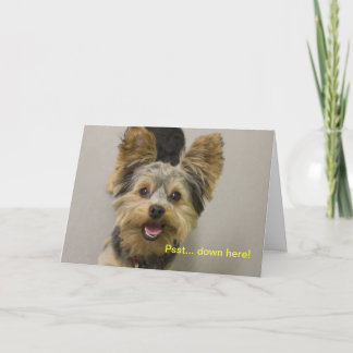 Cartão Feliz aniversário do pequeno.