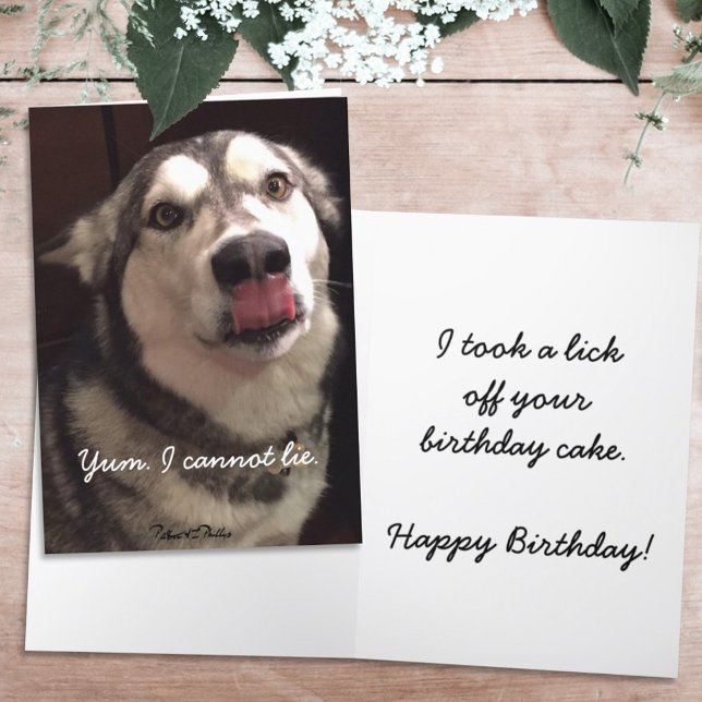 Cartão Feliz Aniversário Engraçado - Cão Malamute do Alas (Criador carregado)