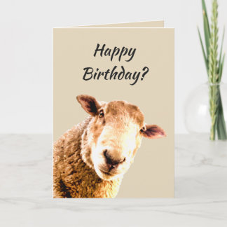 Cartão Feliz Aniversário Engraçado Humor Animal