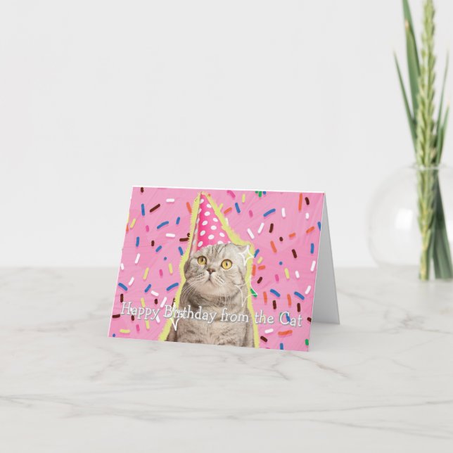 Cartão Feliz Aniversário Engraçado Personalizado do Gato (Frente)