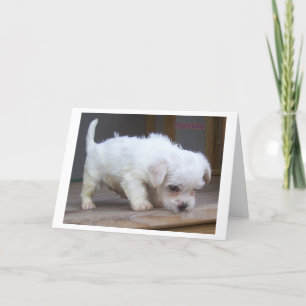 Cartão Feliz Aniversário Filho