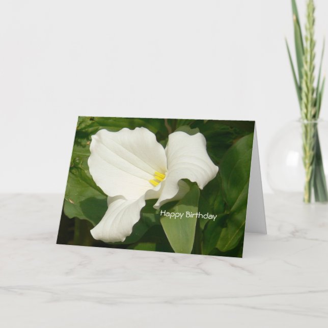 Cartão Feliz Aniversário-Flor Branco (Frente)