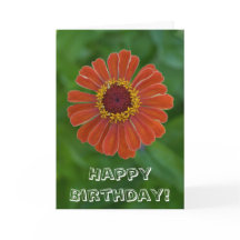 Feliz Aniversário Flor de Orange Zinnia