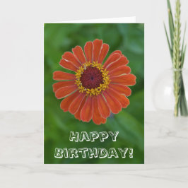 Cartão Feliz Aniversário Flor de Orange Zinnia