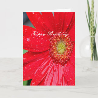 Cartão Feliz Aniversário Flor Vermelha