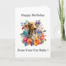Feliz Aniversário Foto Cachorro Gato Animal de Est