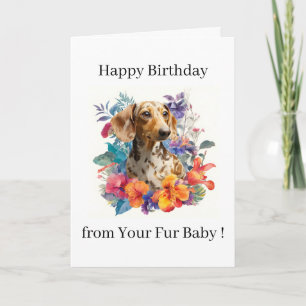 Cartão Feliz Aniversário Foto Cachorro Gato Animal de Est