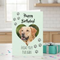 Feliz Aniversário Foto Cachorro Gato Pet Bebê de P