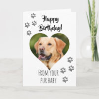 Feliz Aniversário Foto Cachorro Gato Pet Bebê de P