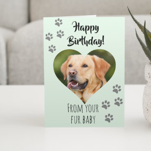 Cartão Feliz Aniversário Foto Cachorro Gato Pet Pelo Bebê