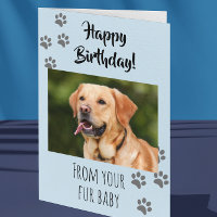 Feliz Aniversário Foto Cachorro Gato Pet Pelo Bebê
