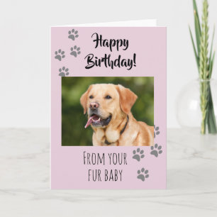 Cartão Feliz Aniversário Foto Cachorro Gato Pet Pelo Bebê