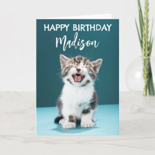 Cartão Feliz Aniversário   Gatinho Bebê Miando