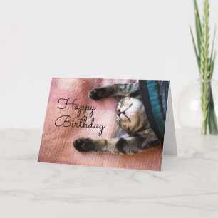 Cartão Feliz Aniversário Gatinho Sonolento