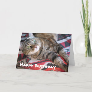 Cartão Feliz Aniversário Gato
