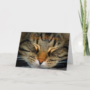 Cartão Feliz Aniversário Gato de Gato de Gato de Gato de
