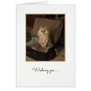 Cartão Feliz Aniversário Gato de Suitcase