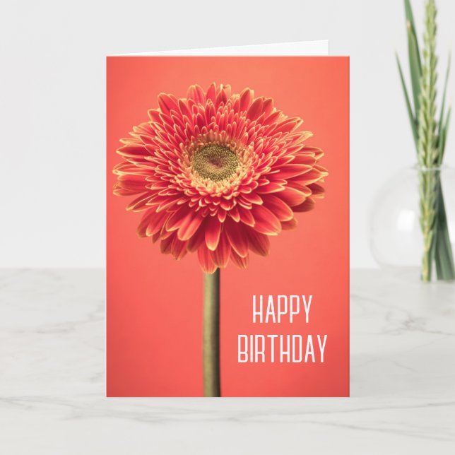 Cartão Feliz Aniversário | Gerbera Daisy Vermelha de Barb (Frente)