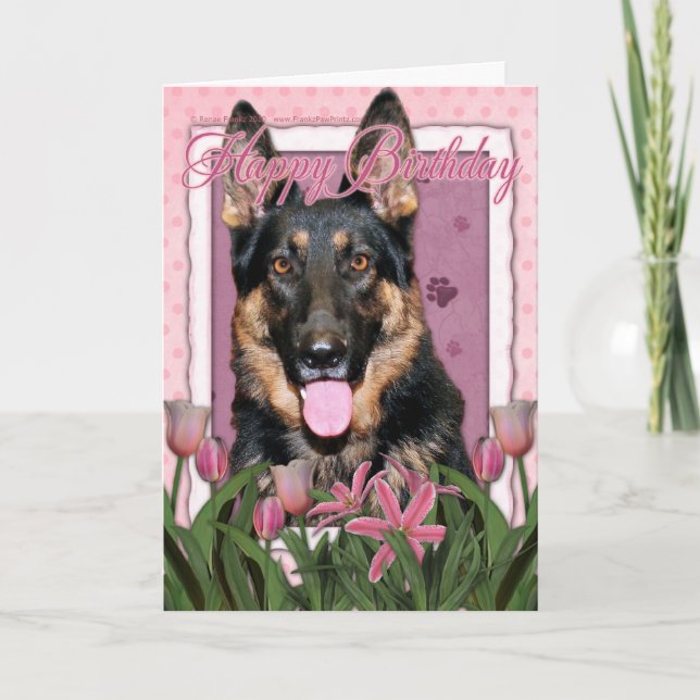 Cartão Feliz aniversário - German shepherd - Kuno (Frente)