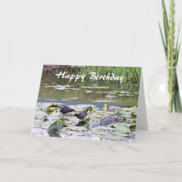 Cartão Feliz Aniversário Havaiano, Moorhen, Lily Pond