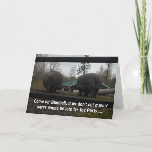 Cartão Feliz Aniversário Hippopotamus Saudação