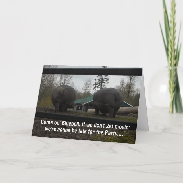 Cartão Feliz Aniversário Hippopotamus Saudação (Frente)