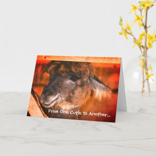 Cartão Feliz Aniversário Humorístico do Llama (Flor Amarela)