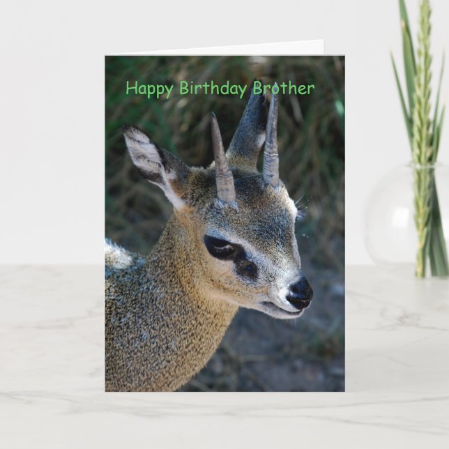 Cartão Feliz aniversário irmão (Frente)