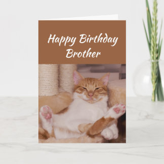 Cartão Feliz Aniversário Irmão Celebra Gato Engraçado