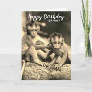 Cartão Feliz Aniversário Irmão Macacos Lindos Aniversário