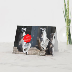 Cartão Feliz Aniversário Katta