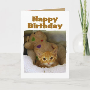 Cartão Feliz Aniversário Kitten