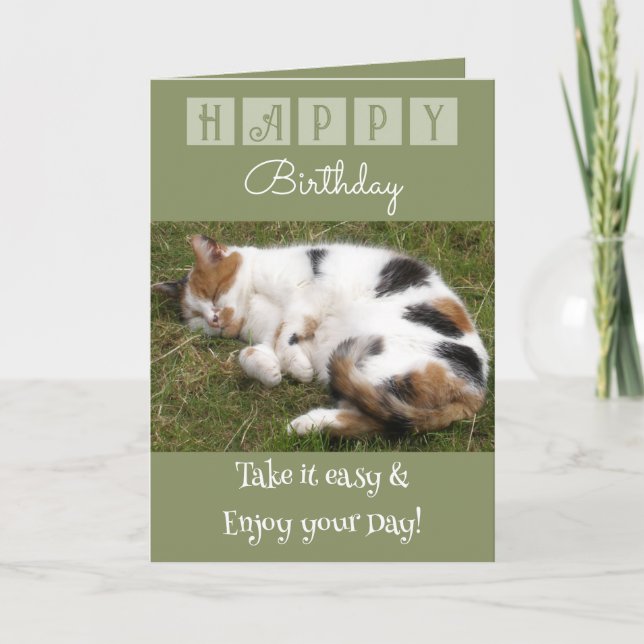 Cartão Feliz Aniversário, leve a foto fácil do gato verde (Frente)