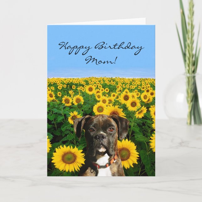 Cartão Feliz Aniversário, mãe Boxer. (Frente)
